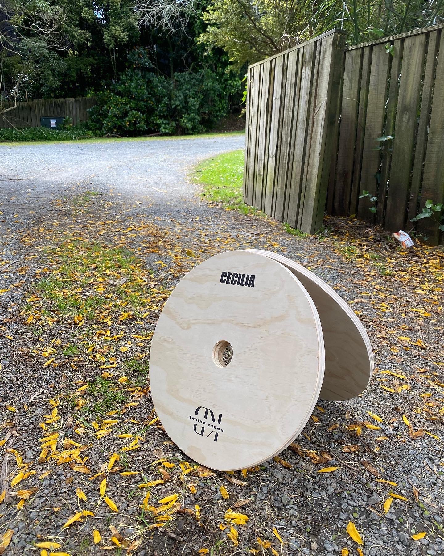 Technique Plates